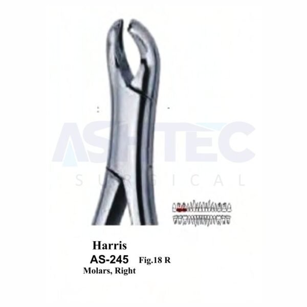 Harris American Pattern Extracting Forceps, For Molars Right, Fig. 18R