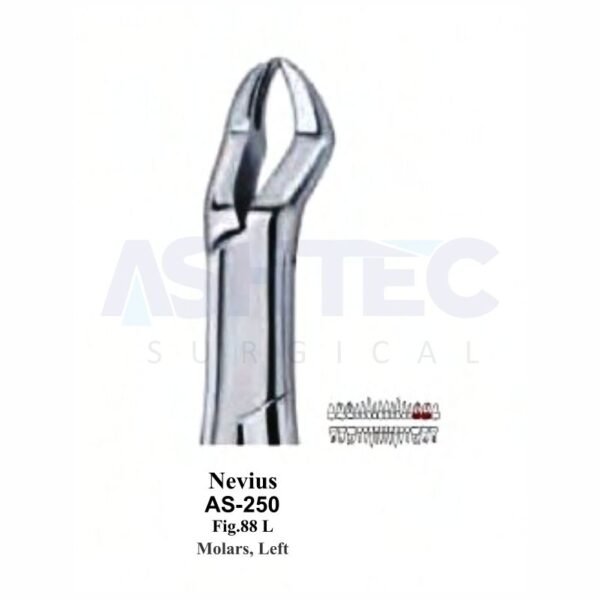 Nevius American Pattern Extracting Forceps, For Molars, Left, Fig. 88L